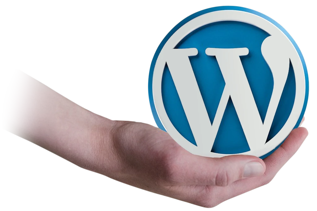 twin Webagentur - WordPress